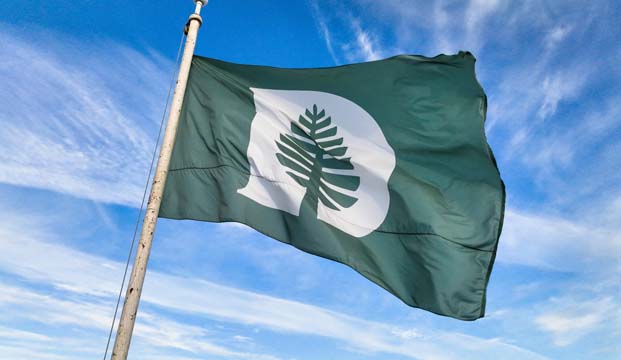 Close up of Dartmouth's flag on a masthead against a partly cloudy sky