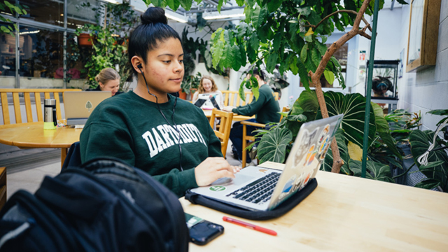 A student wearing a Dartmouth sweatshirt is on her laptop, studying in a greenhouse