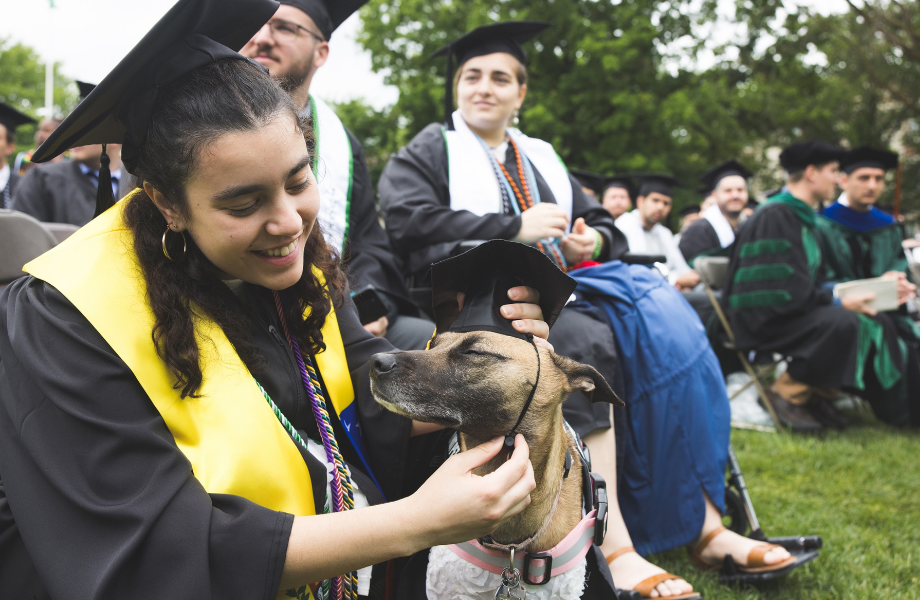 A graduate placing a graduation cap onto a dog. 