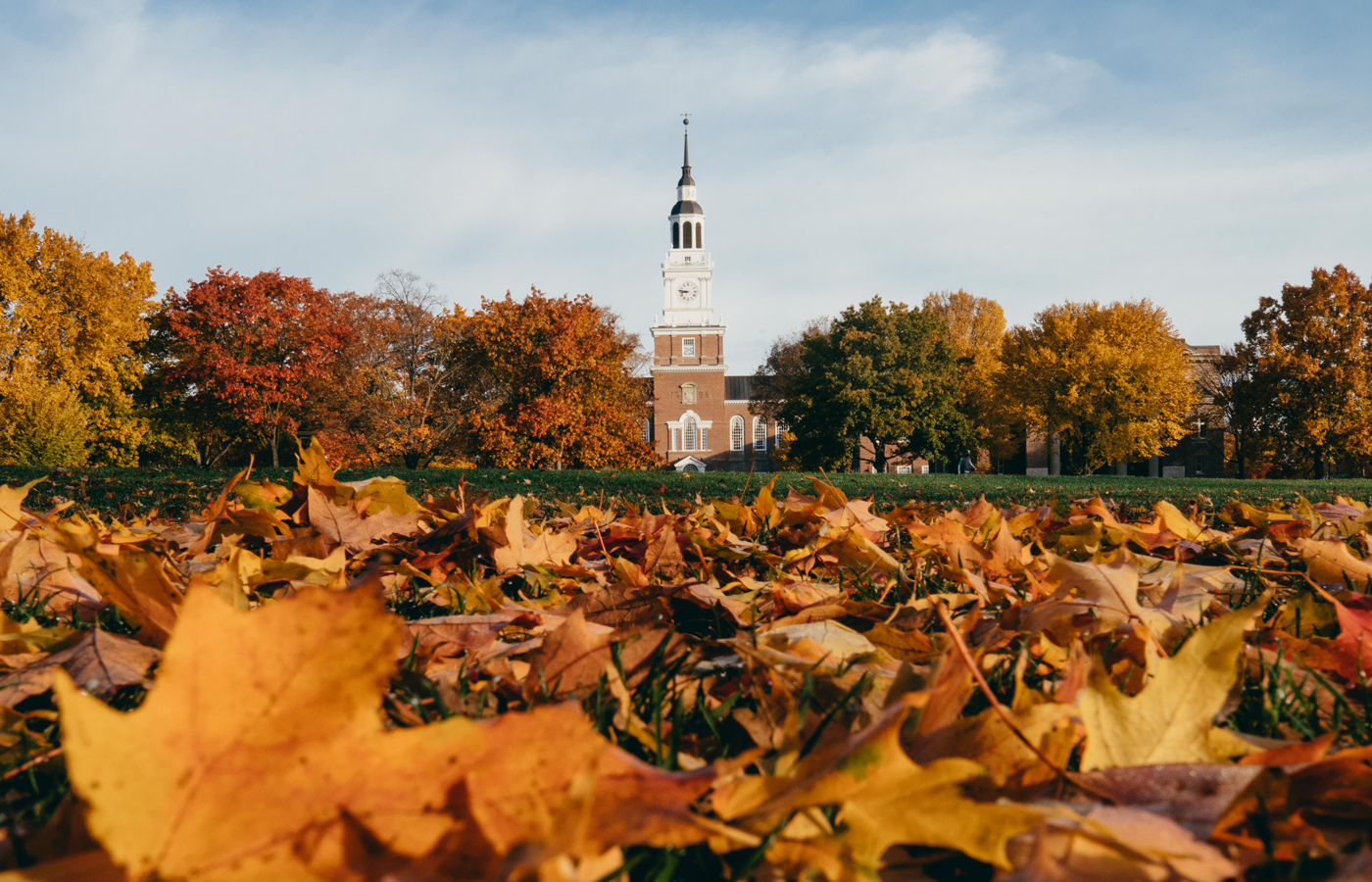 Leaves on Baker Lawn with Baker Tower in the center background