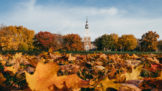 Leaves on Baker Lawn with Baker Tower in the center background