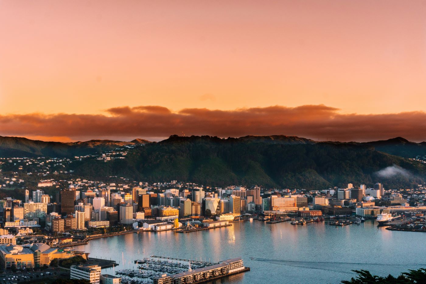 Panorama of Wellington, New Zealand