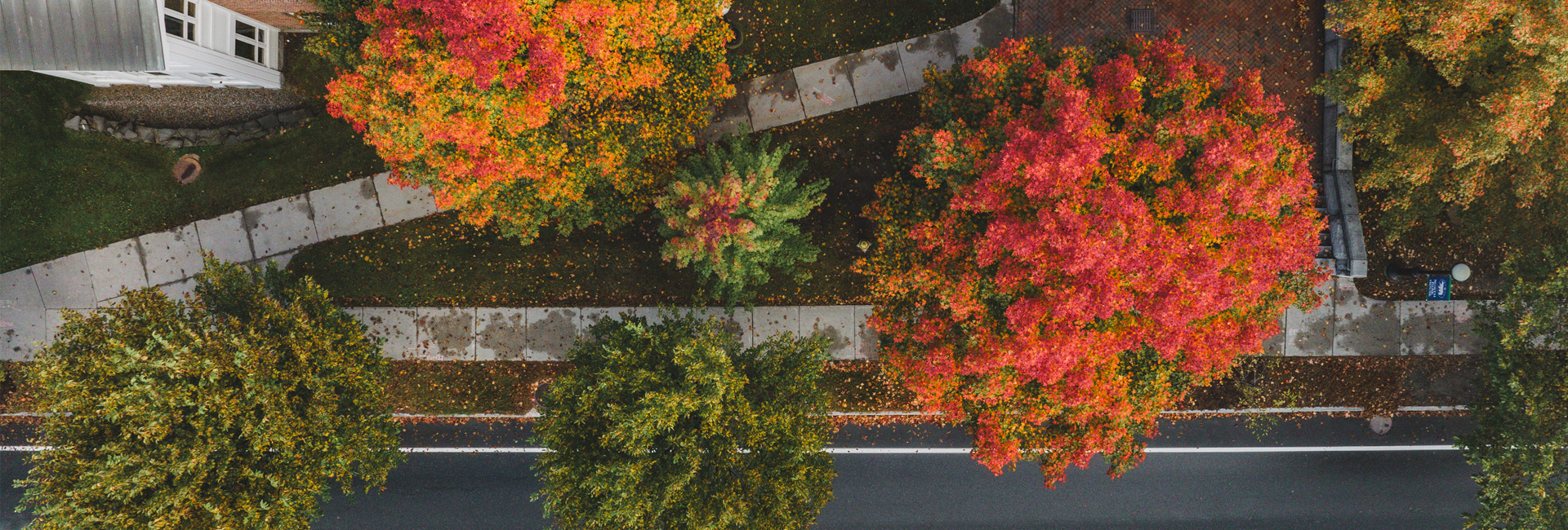 Aerial shot of fall foliage on campus