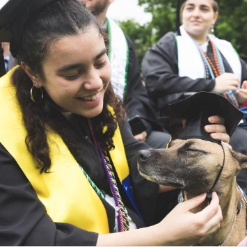 A 2024 Dartmouth graduate places a graduation cap on top of the head of a small dog.