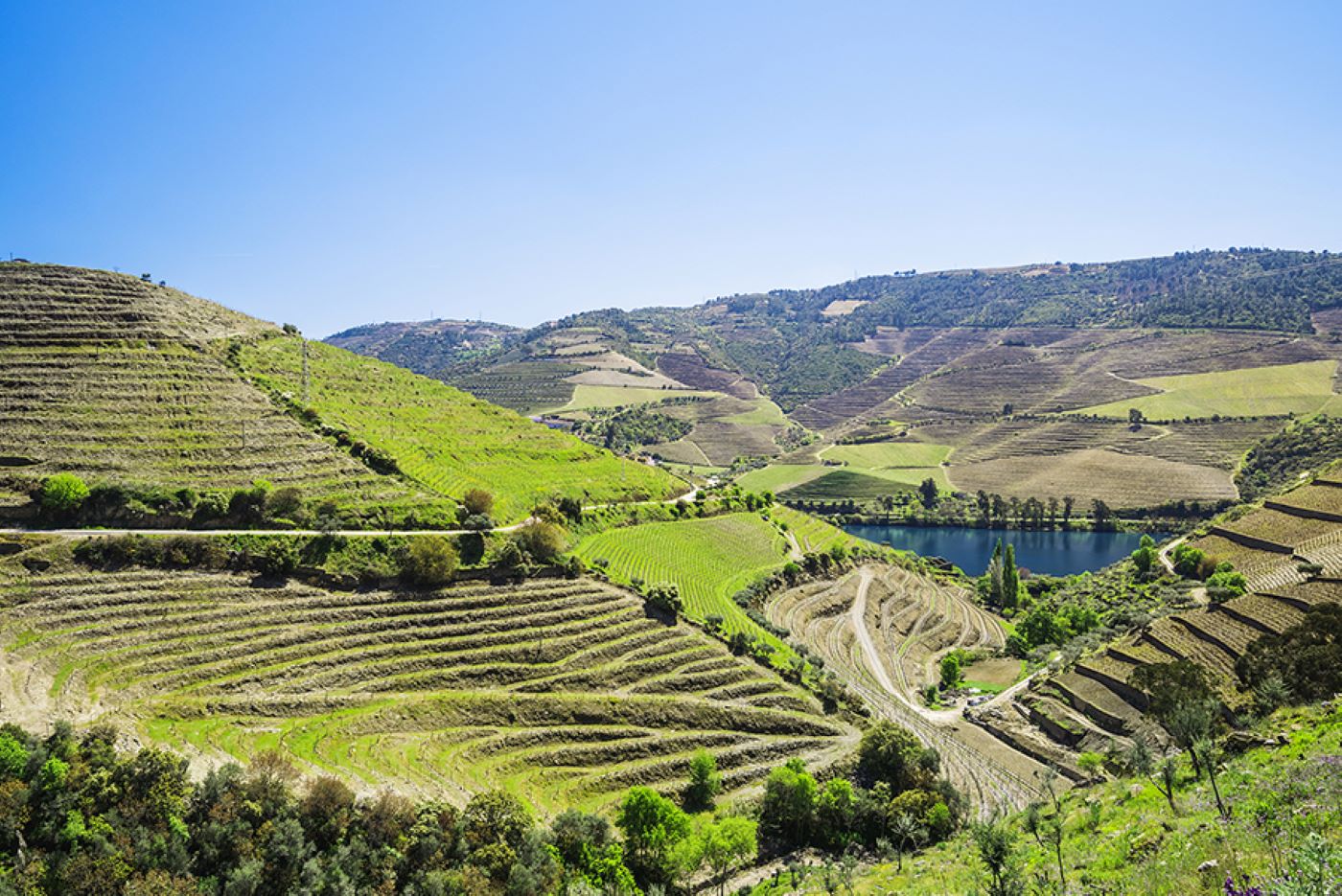 Douro Valley