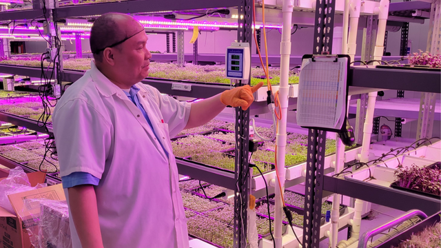 A Garfield Produce employee showing off the hydroponic equipment. 