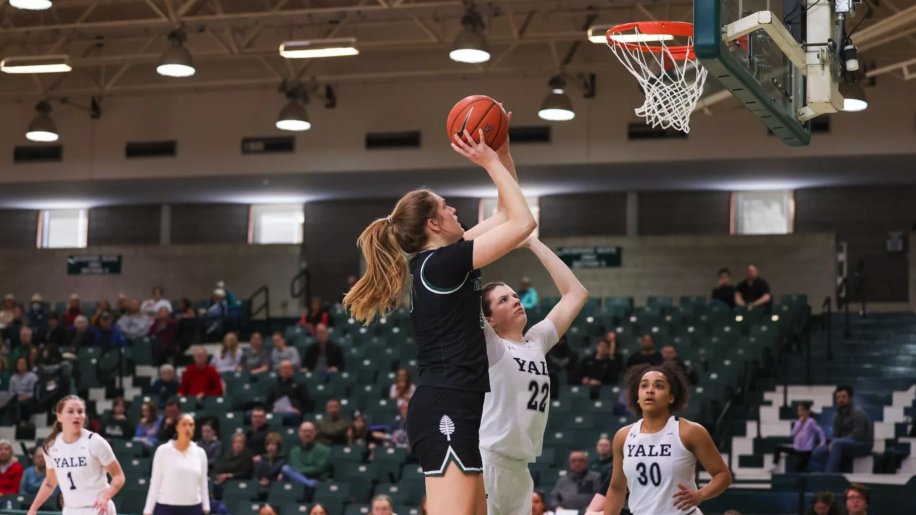 Dartmouth-Yale women's basketball players