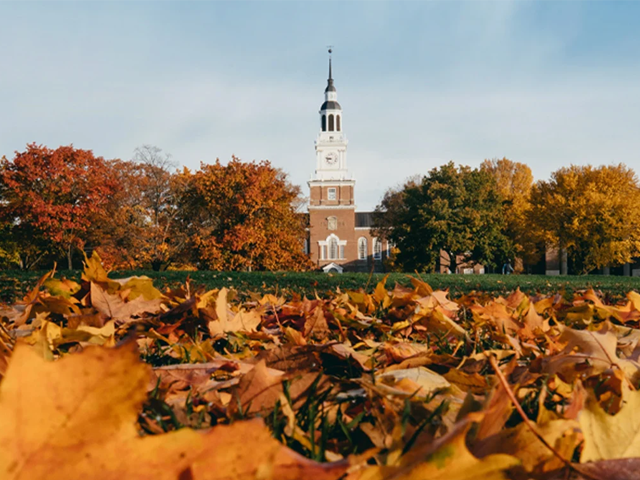 Leaves in the foreground on Baker Lawn, with Baker Tower in the background