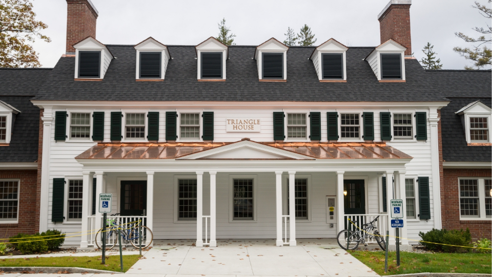 Triangle House