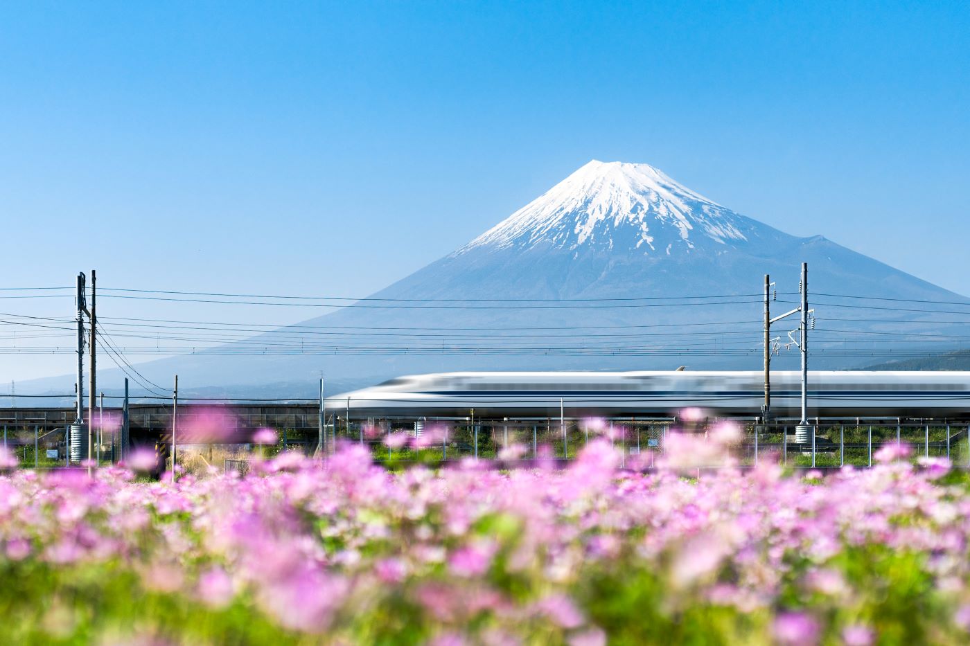 Shinkansen Bullet Train