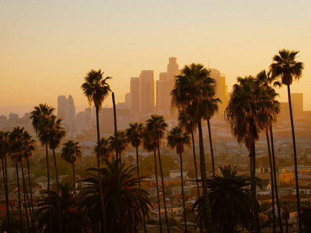 Palm trees in front of the Los Angeles skyline