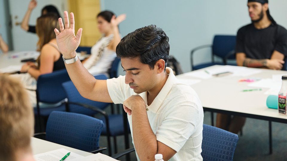 Student raising his hand in classroom