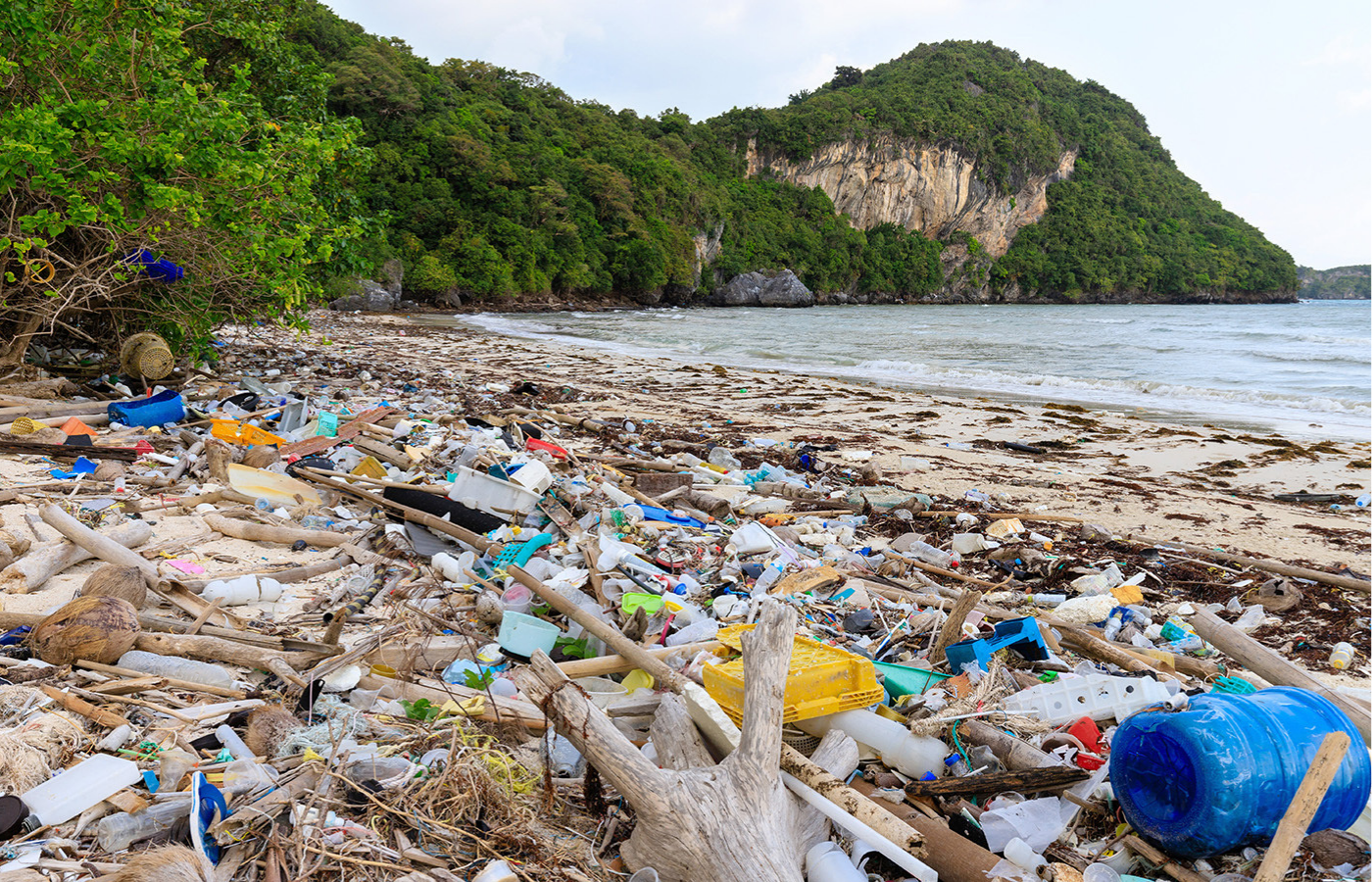 A beach heavily polluted with plastics. 