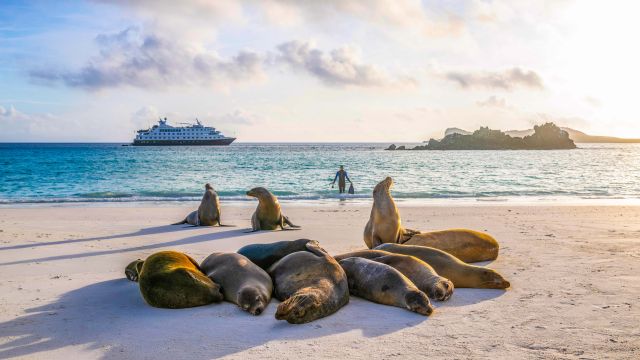 Sea Lions with National Geographic Islander II in the background