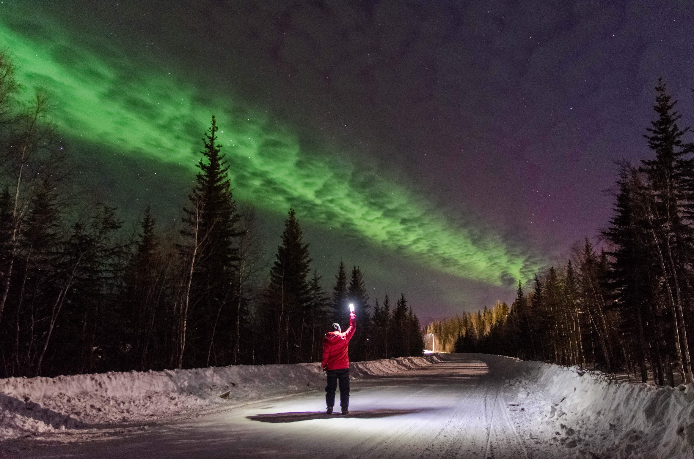 Someone standing outside with a flashlight at night under the northern lights. 