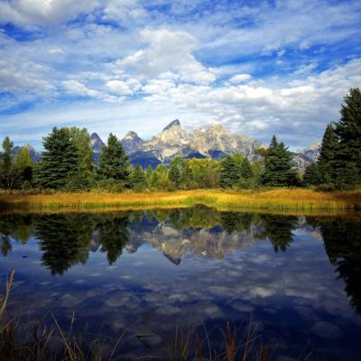 View of the Grand Tetons peaks in the background along the banks of a lake. In the water surface, the mountains and trees reflect.